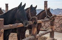 2 Hour Trail Ride to Little Petra-Morning or Sunset