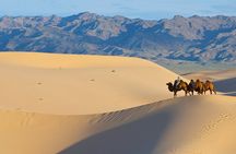 Captivating Central Mongolia with Guide