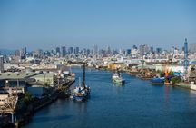 Half day Osaka Bay Area Cycling with E-Assist Bicycle Tour 