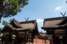 Half day Osaka Bay Area Cycling with E-Assist Bicycle Tour 