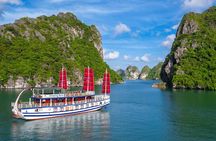 Halong & Bai Tu Long Luxury Day Tour - Fishing village & Kayak