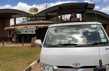 Day Tour to Amboseli National park and Masai Village Tour