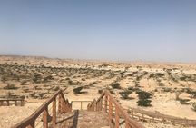 Private Day Trip from Salalah to Rub Al Khali (Empty Quarter)