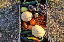 Cooking class on island Brac