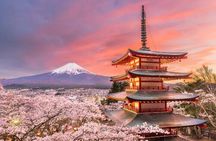 Full Day Private Tour To Mount Fuji Assisted By English Chauffeur