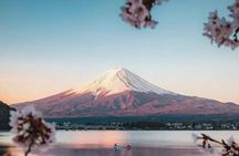 Full Day Private Tour To Mount Fuji Assisted By English Chauffeur