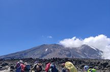 8 Days Mount Kilimanjaro Climb Lemosho route