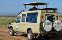 3 Days Safari to Tarangire, Ngorongoro & Lake Manyara parks