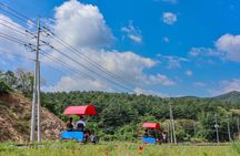(Private tour) Nami Island + Railbike + Garden of morning calm