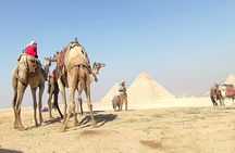 Private Guided Tour Giza Pyramids and Sphinx with an Egyptologist