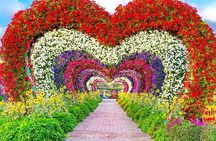 Private Dubai City Tour with Miracle Garden Ticket