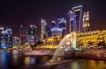 Singapore Starry Night : Cruise, Garden Rhapsody & Spectra Show