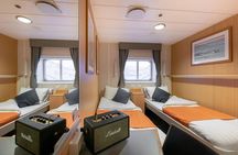 24hr Northern Lights & Whale Watching Cruise