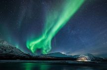 24hr Northern Lights & Whale Watching Cruise
