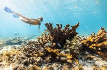 Snorkel Paradise Cancun 5 in 1 For Non Swimmers 
