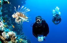 El Gouna: Professional Scuba Diving Tour with Lunch & Transfer