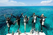El Gouna: Professional Scuba Diving Tour with Lunch & Transfer