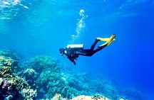 El Gouna: Professional Scuba Diving Tour with Lunch & Transfer