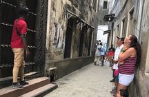 Private Stone Town, Nakupenda Beach and Prison Island Tour