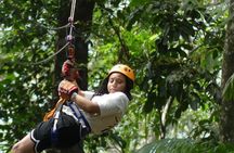 Zipline and Sloth Sanctuary Private Tour