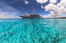 Luxury snorkel trip on a spacious wooden schooner and local lunch