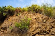 Holy Biodiversity, Batman! A Naturalist's "Batcaves" Tour