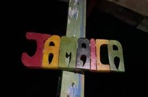 Exotic Ocho Rios Historical Sightseeing Tour