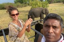  From Colombo/Negombo to Sigiriya, Dambulla Day Trip & Safari