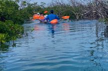 Clear Kayak Tour