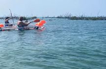 Clear Kayak Tour