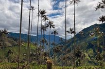 2 Day Private Tour at Salento Adventure and Cocora Valley