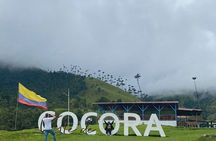 2 Day Private Tour at Salento Adventure and Cocora Valley