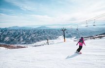 Full Day Private Skiing / Snowboarding Tour in Sapporo