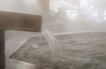 Sapporo Private Sightseeing Tour in Onsen with Special Package