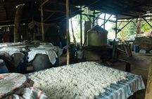 Cycling Through Phu Quoc Rural Village