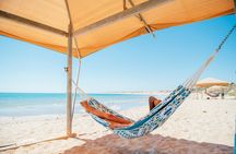 Half-Day Helicopter Experience: Lunch at Eco Beach from Broome