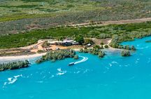Pearls & Coast: 35-Minute Helicopter Flight & Willie Creek Tour