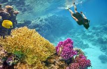 Orange Bay VIP Boat Trip with Snorkeling, Lunch & Hotel Transfer
