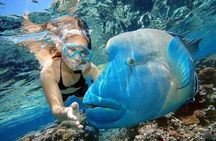 Orange Bay VIP Boat Trip with Snorkeling, Lunch & Hotel Transfer