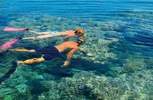 Orange Bay VIP Boat Trip with Snorkeling, Lunch & Hotel Transfer