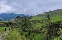Private Summit of Nevado Tolima 4 Day All Inclusive Hike