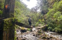 Private Summit of Nevado Tolima 4 Day All Inclusive Hike