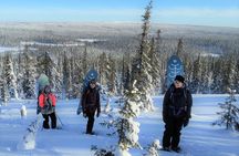 Private 2-Hour Snowboarding in Levi