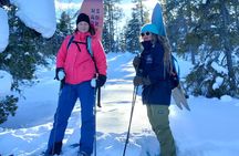 Private 2-Hour Snowboarding in Levi