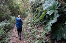 Private Summit of Nevado Tolima 4 Day All Inclusive Hike