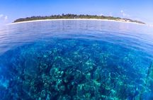 Okinawa: Scuba Diving Tour with Wagyu Lunch and English guide
