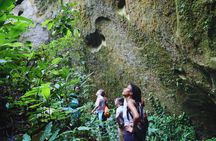 Route of the Dreams Full-day Trekking Jungle Tour in Tena