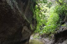 Route of the Dreams Full-day Trekking Jungle Tour in Tena