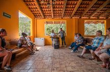 Private City tour & tequila tasting