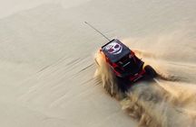 Doha Half Day Safari Dune bashing/Camel Ride/sandboard